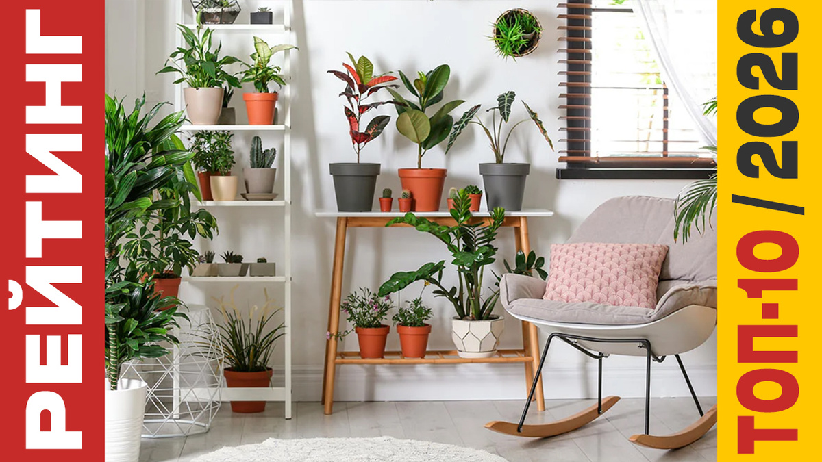 ТОП-10 Комнатных растений 2026 года: Рейтинг лучших моделей