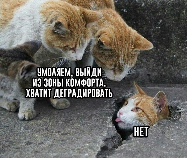 Нужно ли выходить из зоны комфорта?