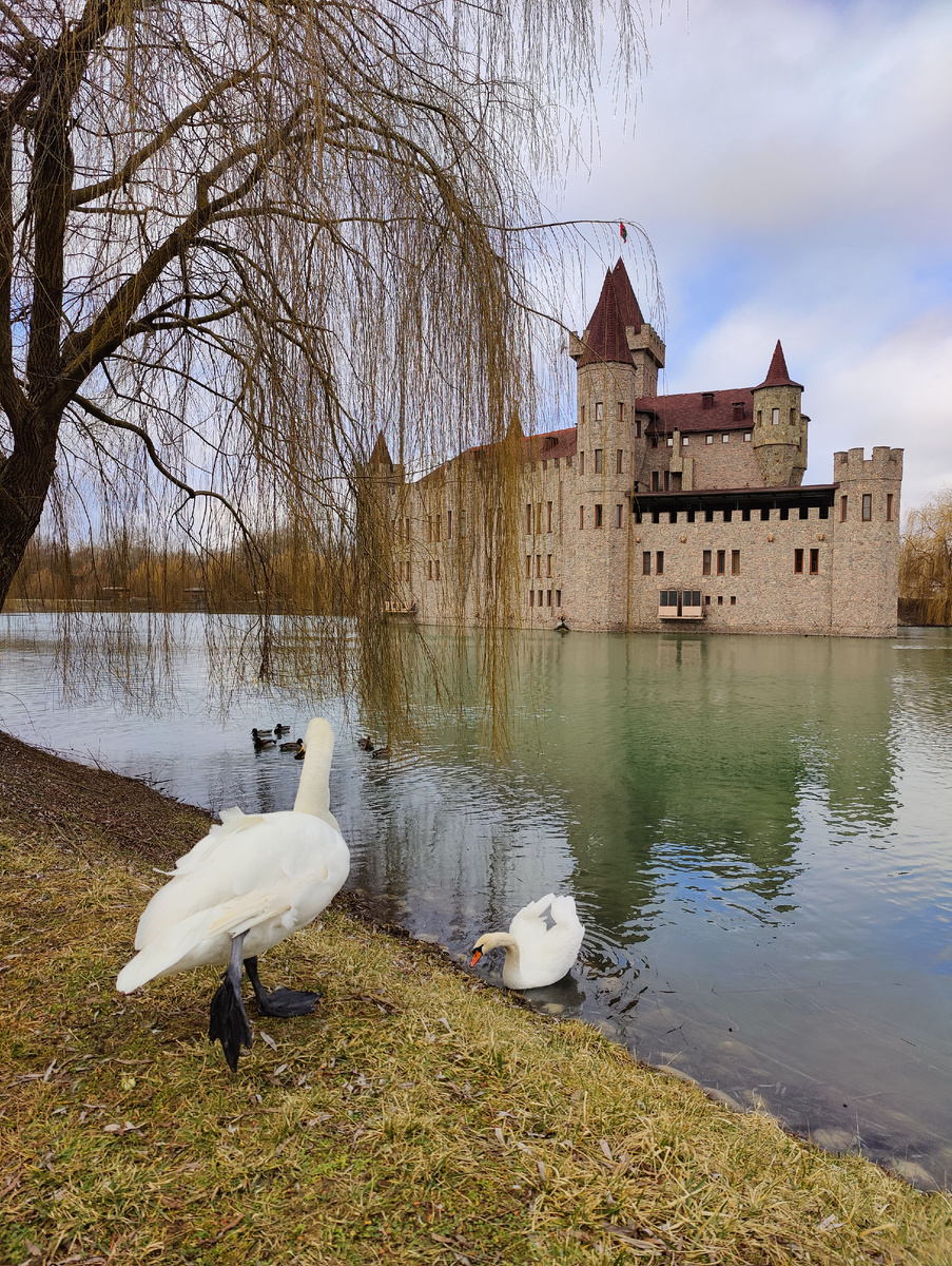 Фото автора