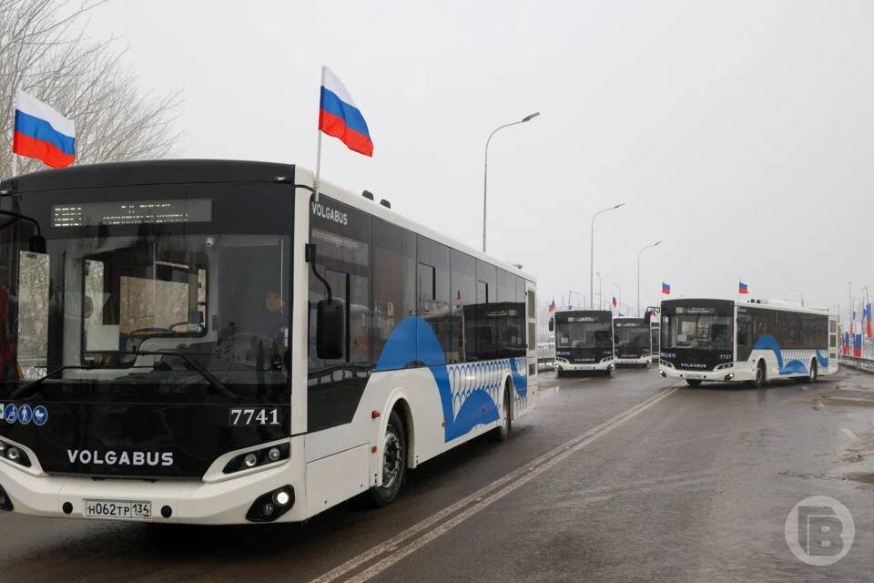    Фото: Дмитрий Рогулин/"Городские вести