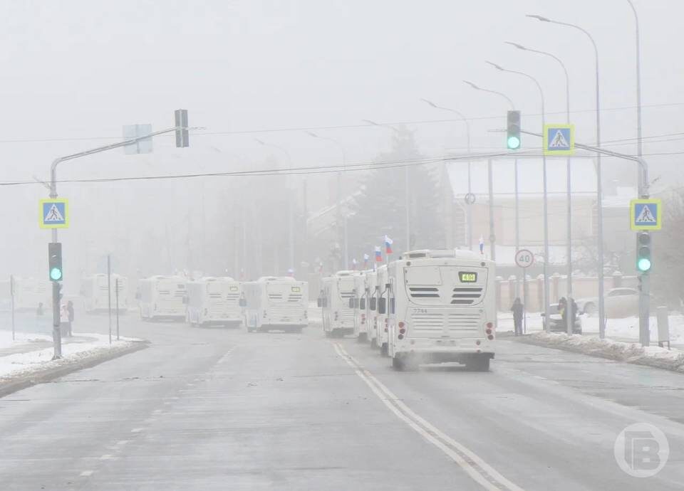    Фото: Матвей Горбунов/"Городские вести"