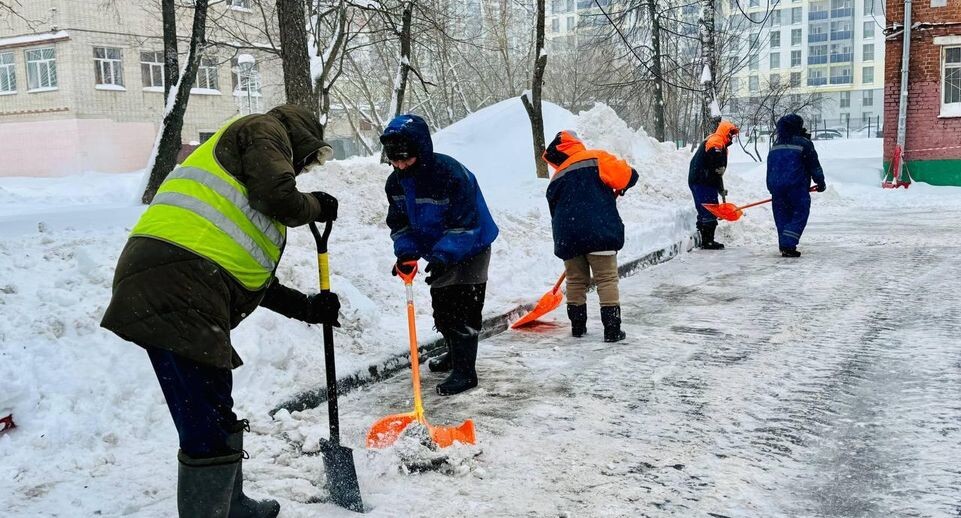    Татьяна Сташенко