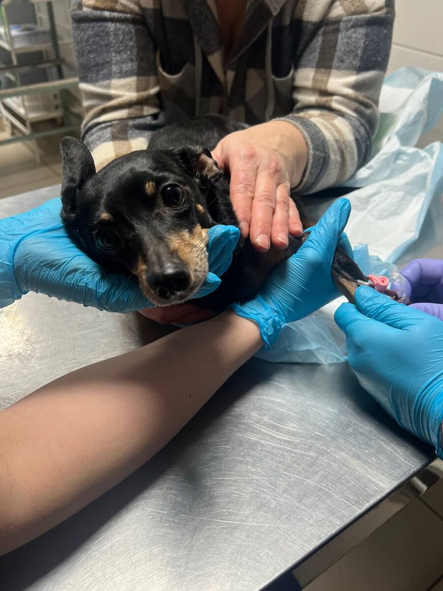 Никогда не проходите мимо, иногда именно вы можете помочь спасти чью то жизнь