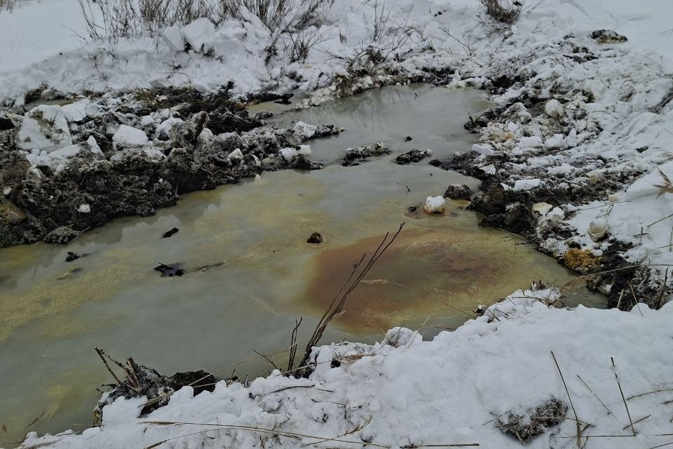    Проверка прошла 29 января на землях сельскохозяйственного назначения, расположенных в границах Малозайкинского сельсовета. Фото: Россельхознадзор по Оренбургской области