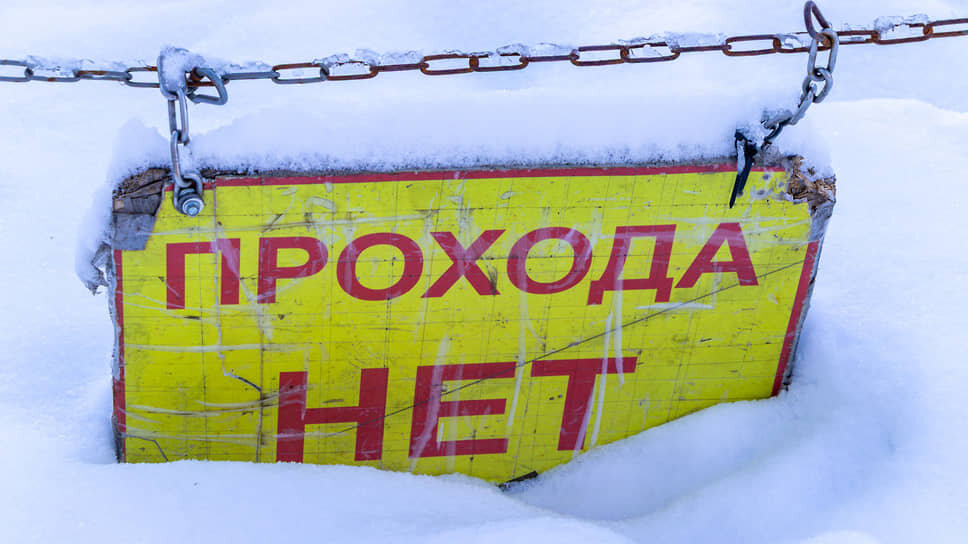 Фото: Егор Снетков / Коммерсантъ