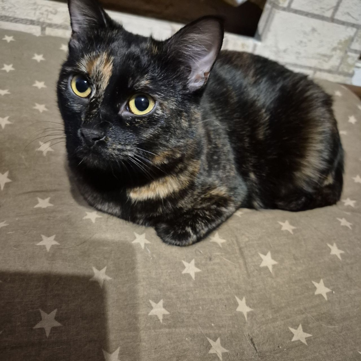 Про меня, да? Про меня?