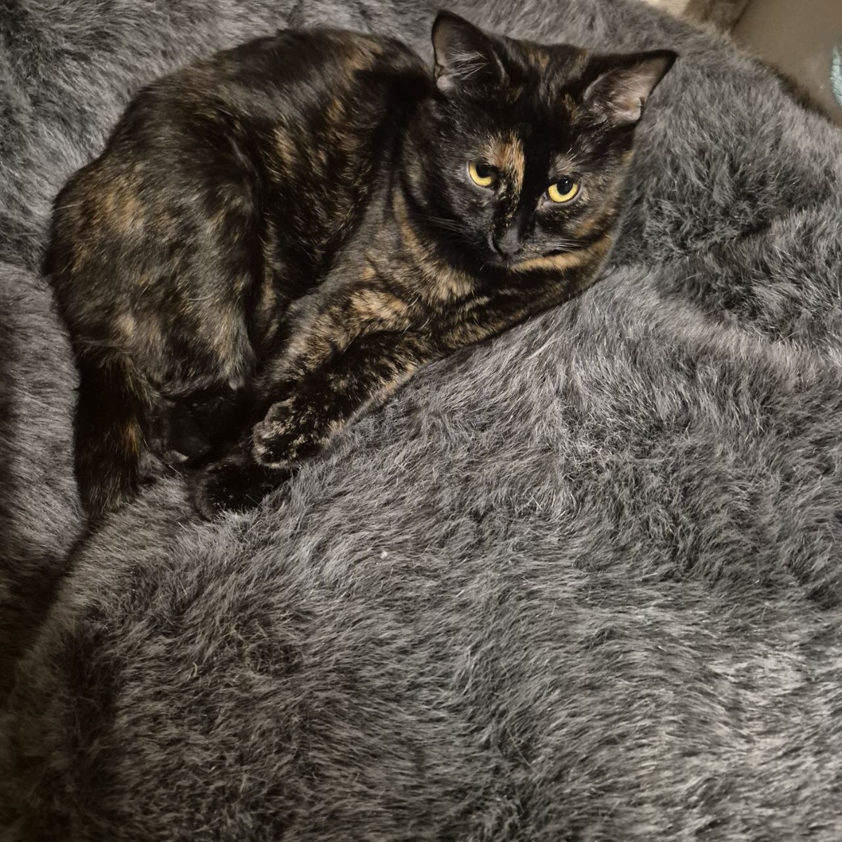 А мне не звонят!