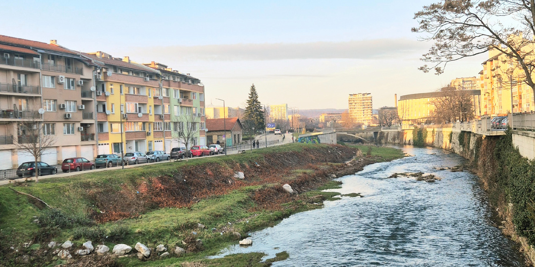 Про собачьи беды и переход на евро.