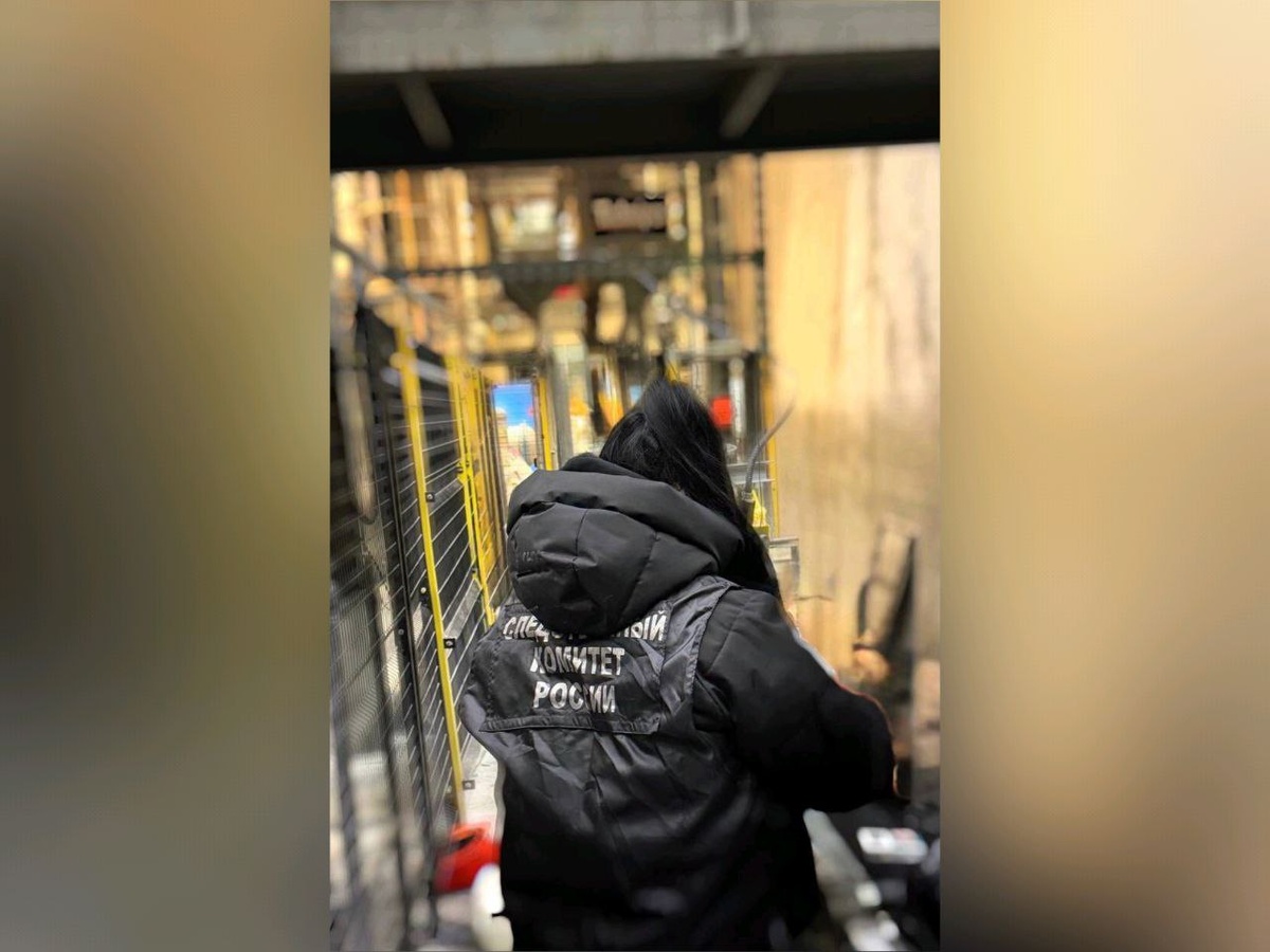     Фото: пресс-служба СУ СК по региону