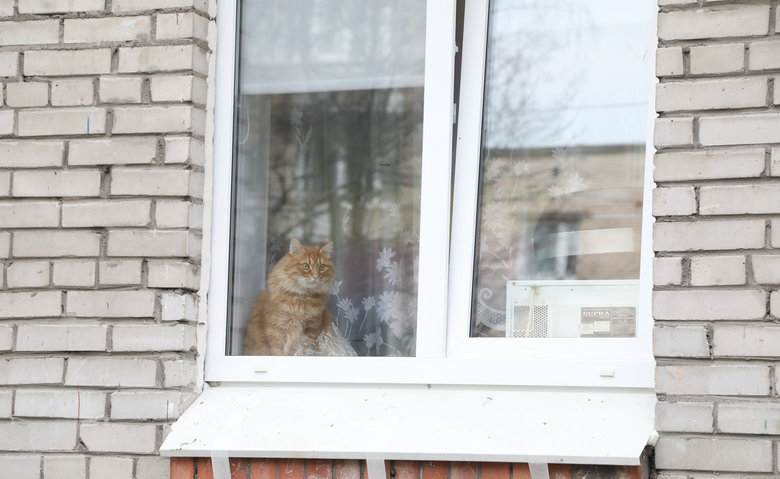 Фото: Роман Пименов