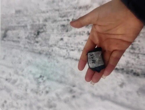    Фото: пресс-служба ГУ МВД по РО