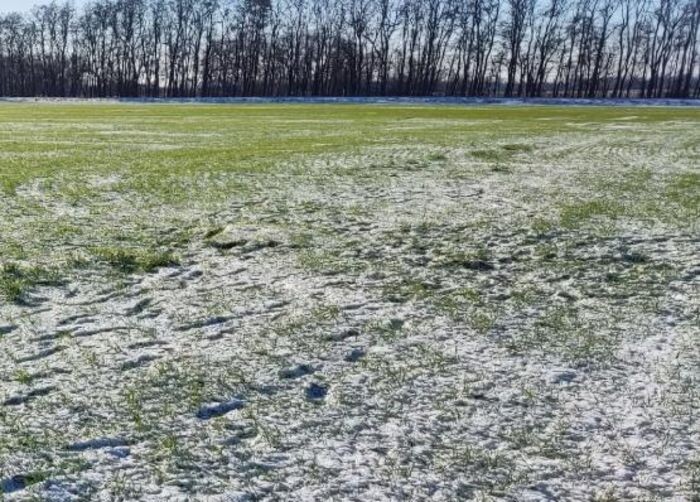 Иллюстрация: © «Панорама»