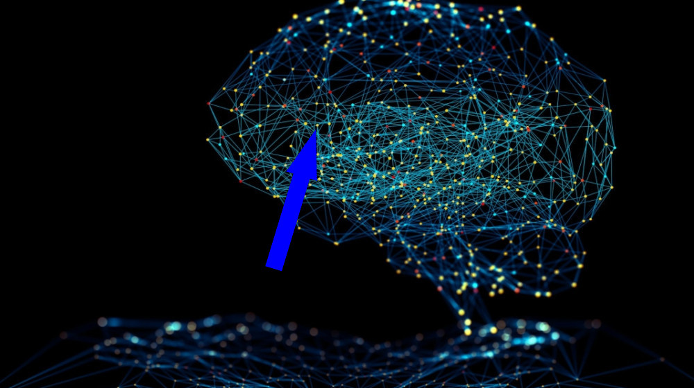    Новая архитектура AI «Дракон Яйцеклад» может приблизить нас к искусственному разуму