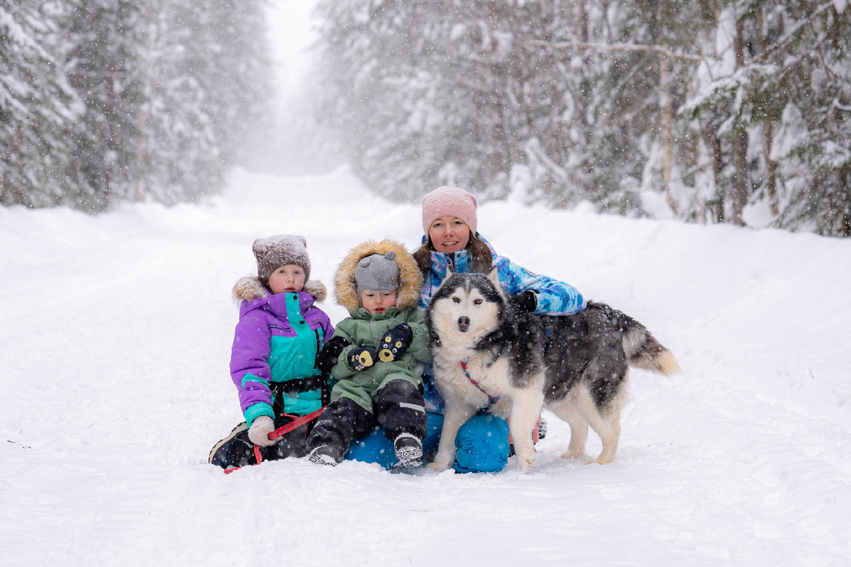 Прогулки с хаски в Лагуне Юг