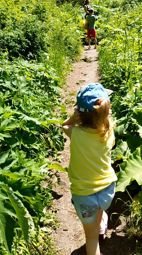 Тропинка к водопаду, мы ходили в начале июня, а трава была уже высокая