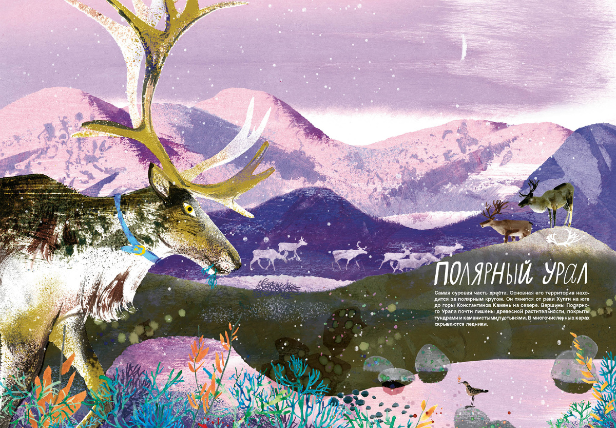 Смотри: Урал! Книга-путешествие / Олег Чегодаев, ил. Ани и Вари Кендель. — М. :
Самокат, 2026