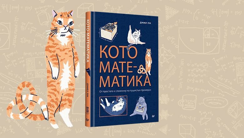 Книга Дэниела Лука блестяще решает задачу эмоционального вовлечени