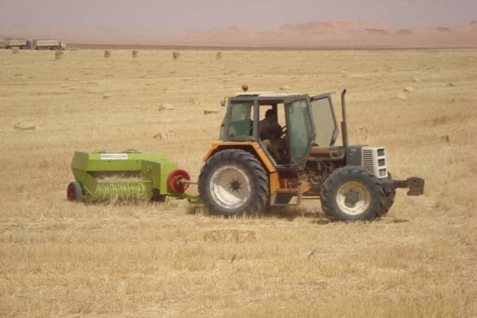   предоставлено Мнзией Загидуллиной