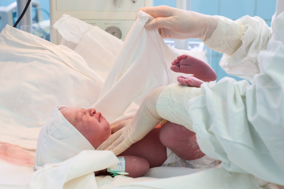    Сергей Петров/NEWS.ru