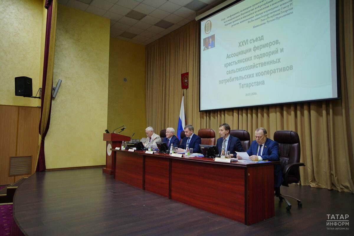 Фото: © Владимир Васильев / «Татар-информ»