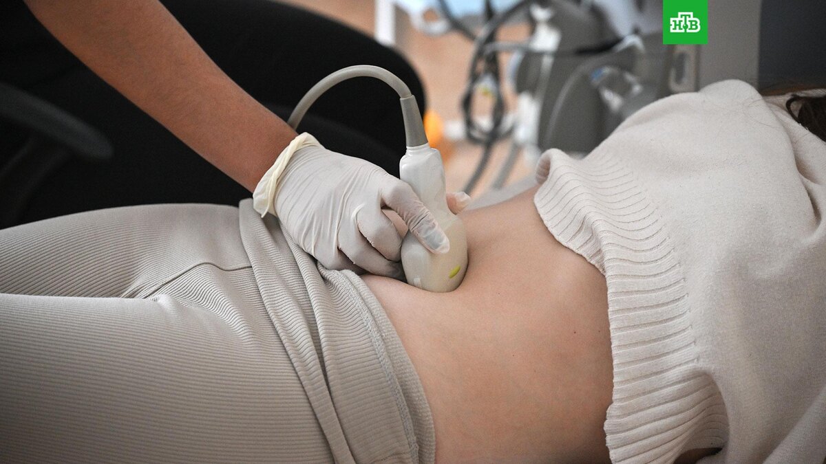    Фото: РИА Новости © 2026, Константин Михальчевский