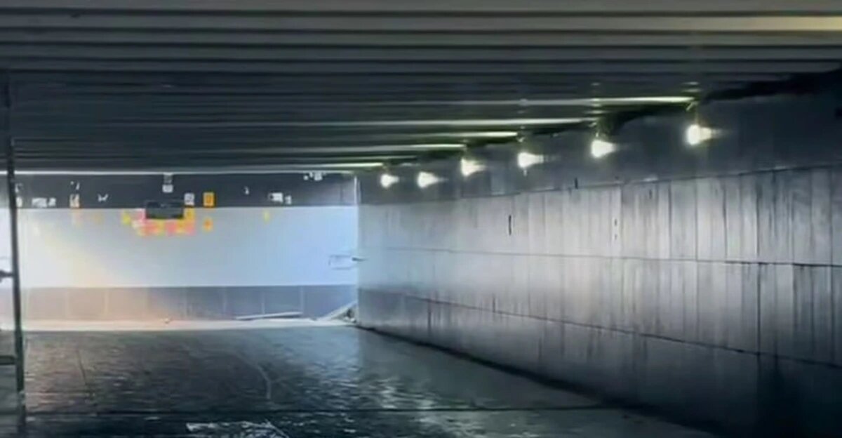    Фото t.me/emnaumov