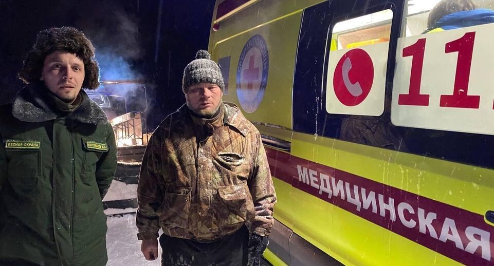    пресс-служба Комитета лесного хозяйства Московской области