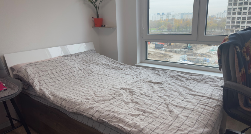 Кладу 2 веточки в банку — и крепкий здоровый сон обеспечен: вся семья чувствует разницу