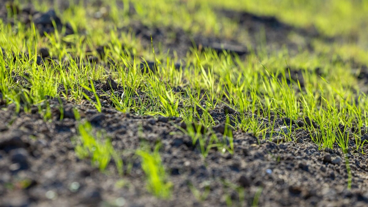    Фото: Федор Воронов/«Ямал-Медиа»