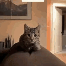 Охотник в деле.