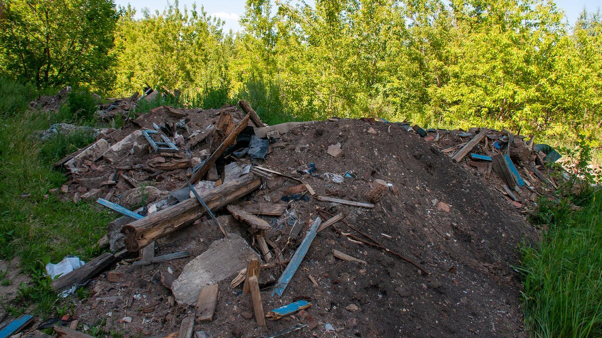    Фото: Svetlana Vozmilova/globallookpress.com