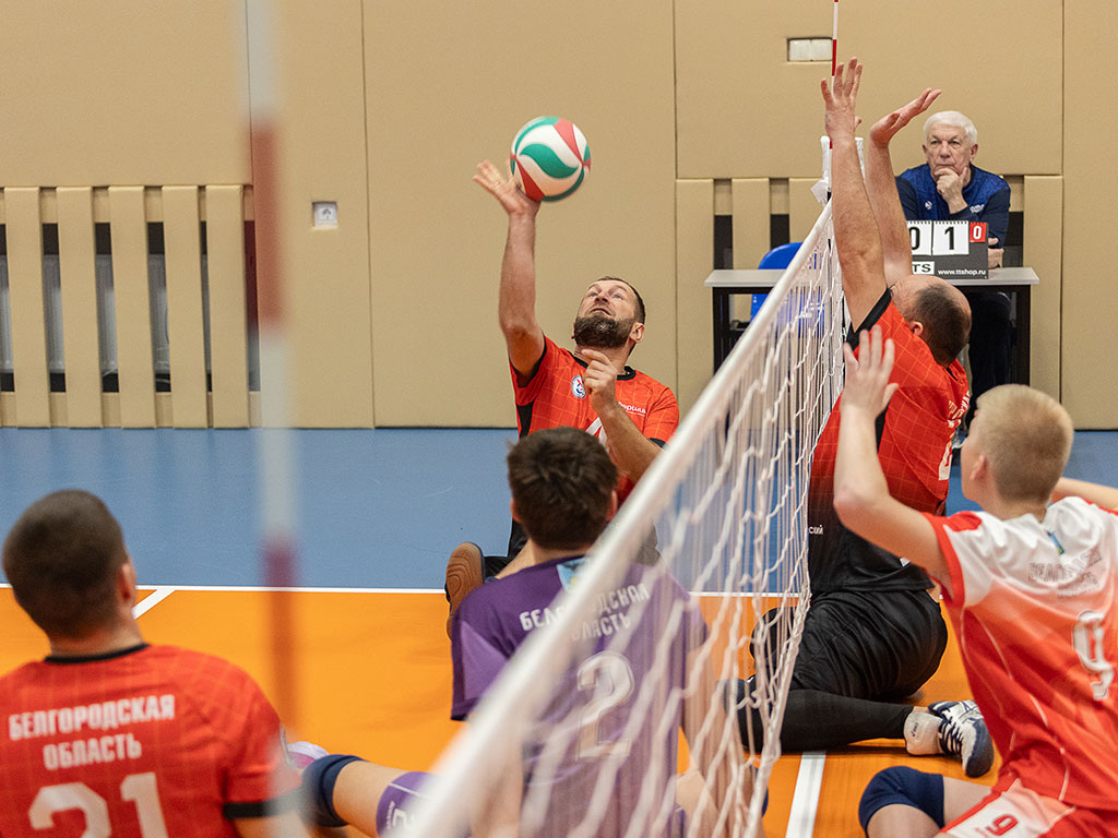     Фото: Алексей Дацковский