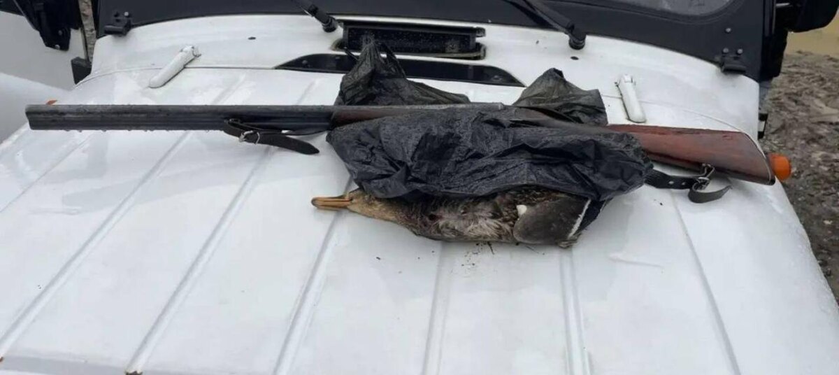 Фото: пресс-служба Сочинского национального парка