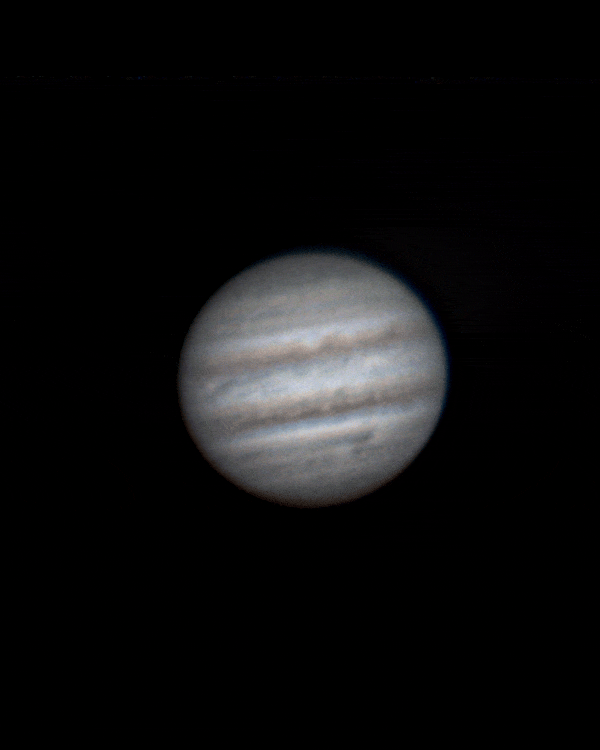   Юлия Шевцова, Валерий Шевцов