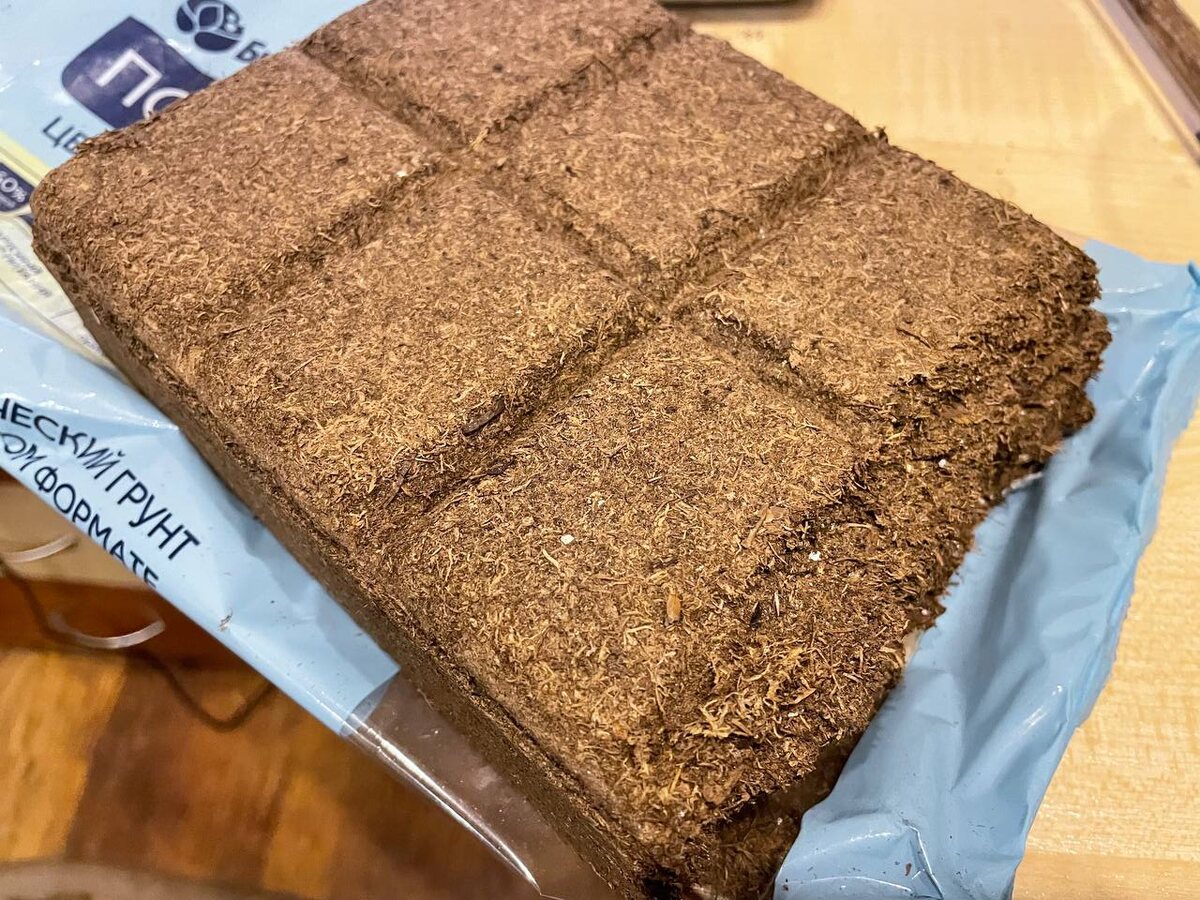 Сухой почвобрикет. Фото автора 