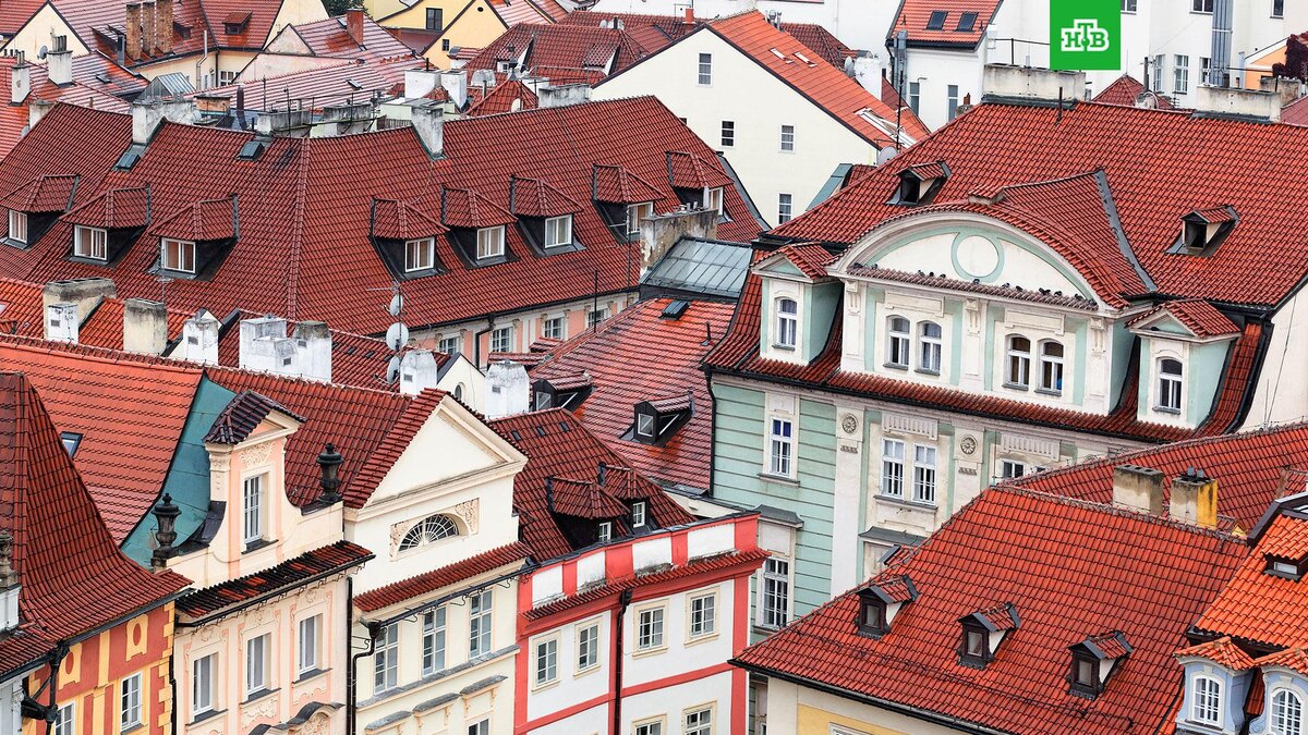    Фото: vwalakte / freepik.com