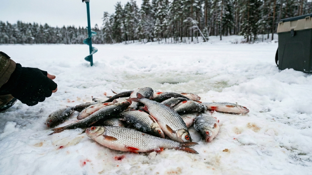 Растительные насадки для зимней рыбалки
