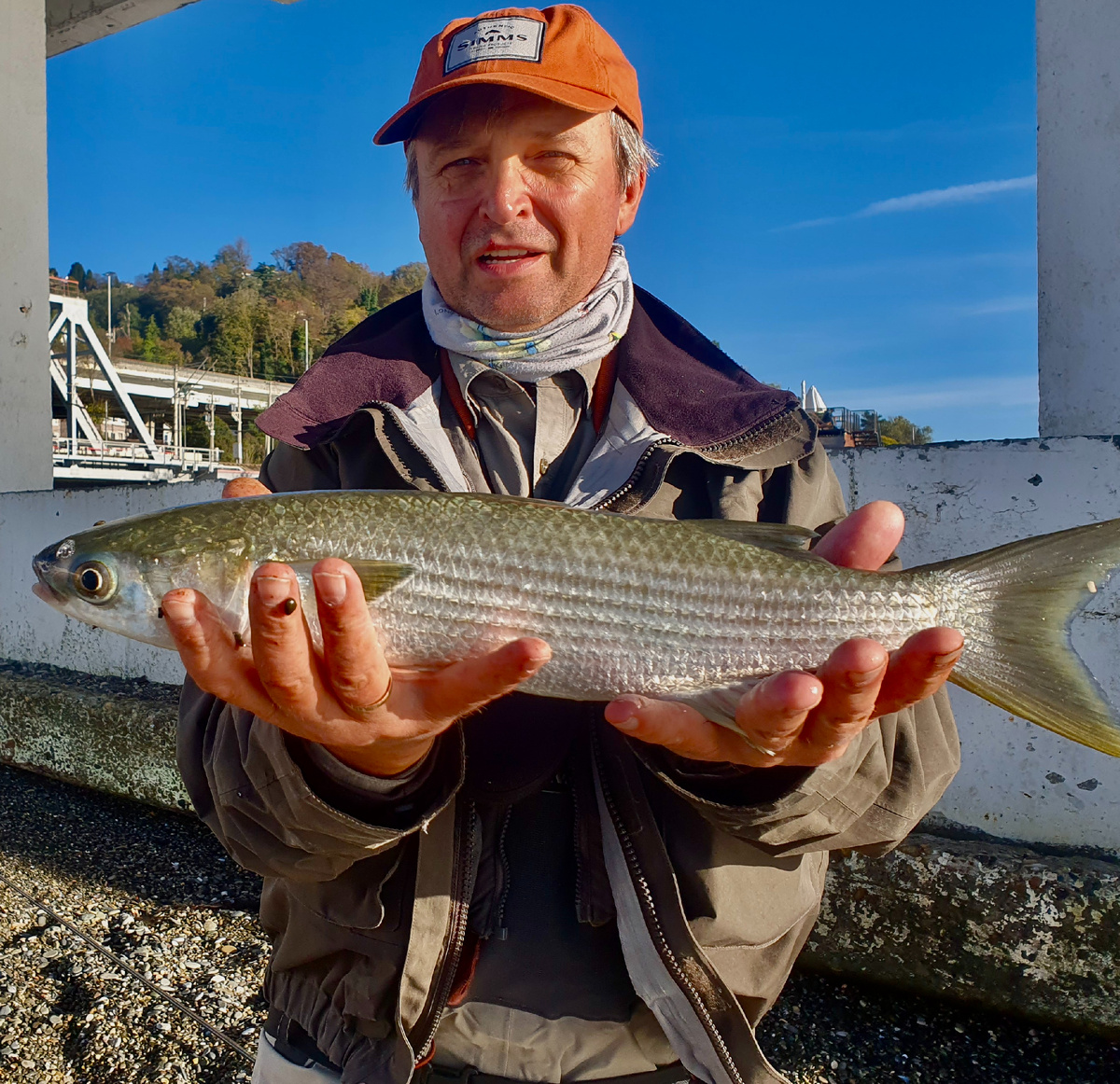 Лобастая кефаль – самый желанный трофей сочинских рыбаков.
