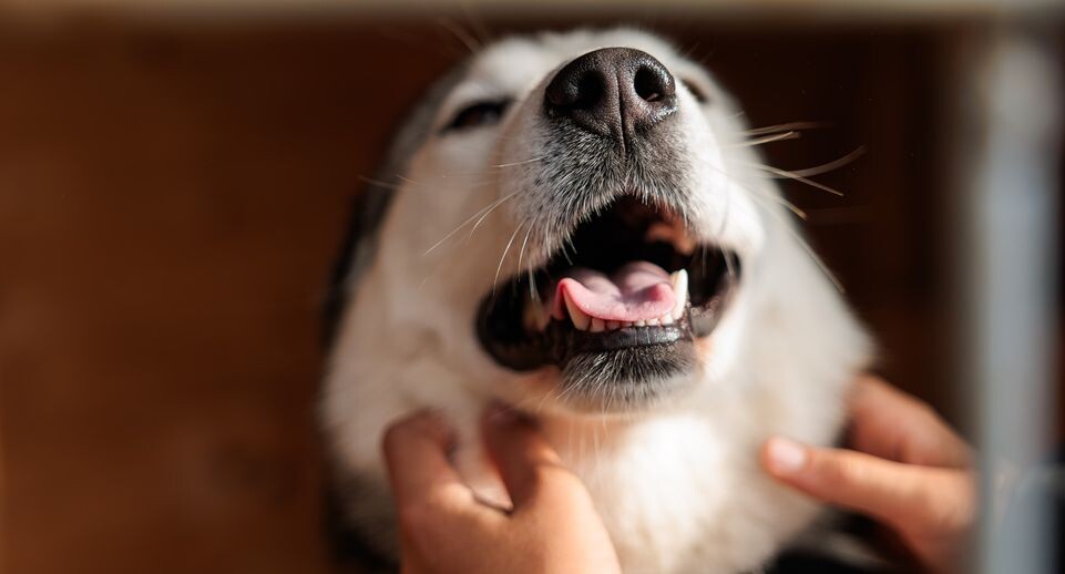    Медиасток.рф