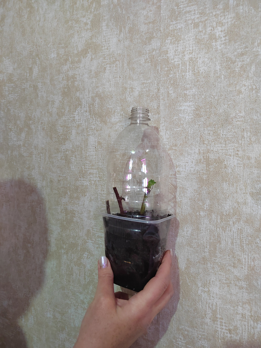 Минипарничок