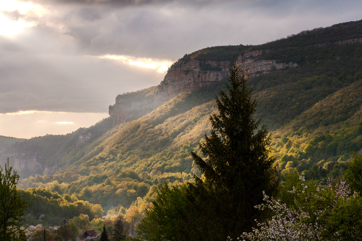 Орлиная полка летом
