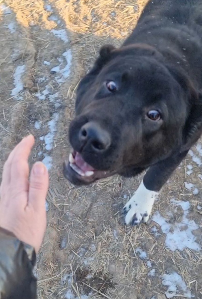 Наоми та еще дурашка.