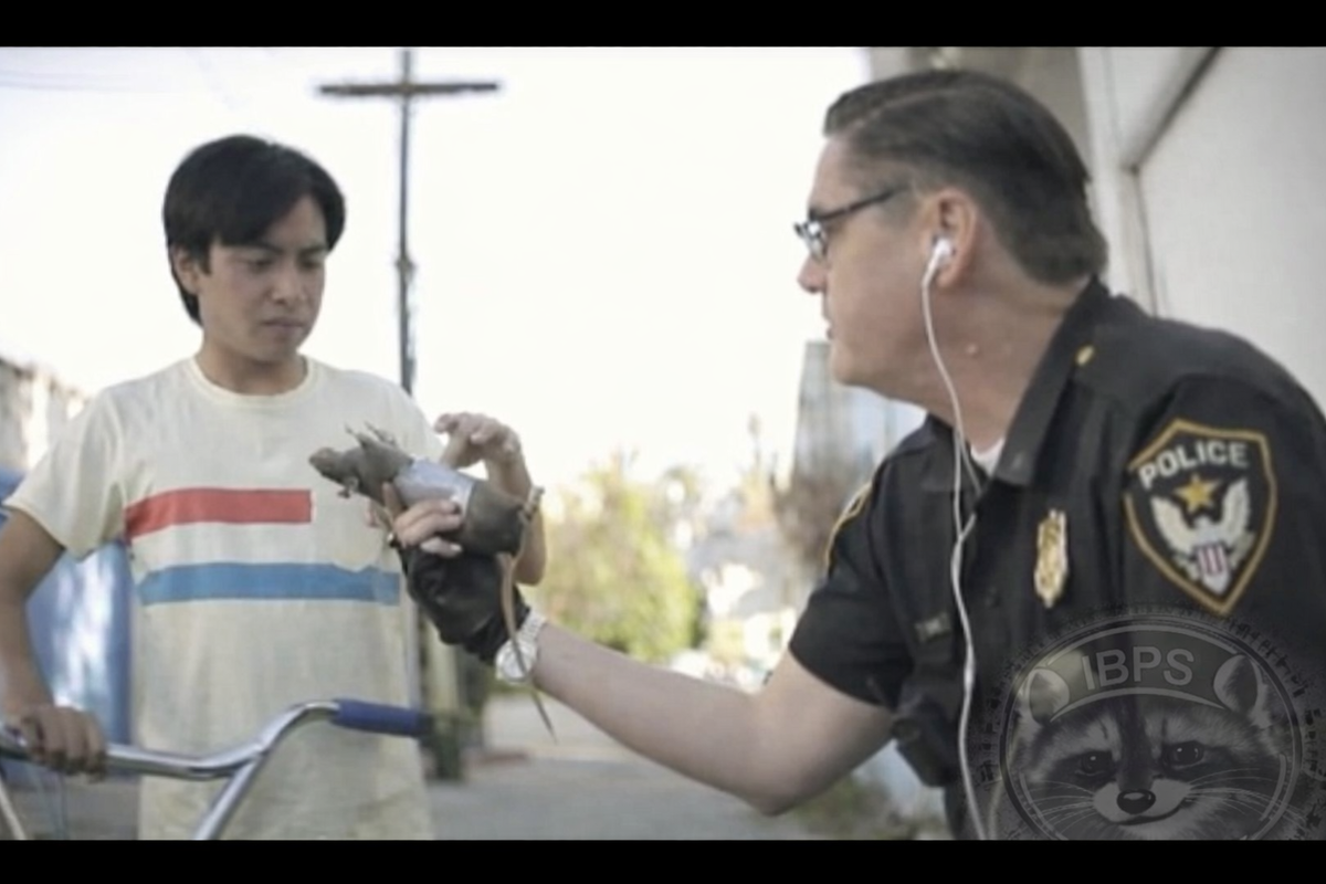 Товар в крысе