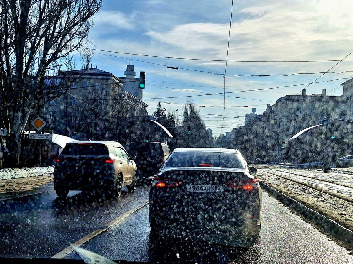 Фото автора.