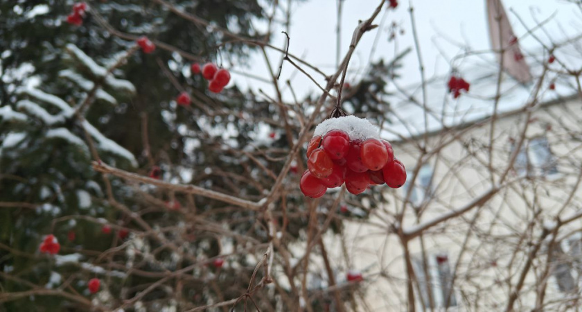    Первый городской канал Калининград