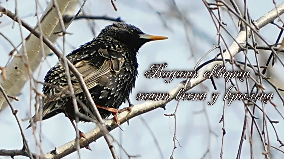 /фото из интернета/