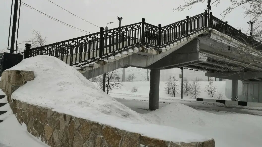    Фото: Царьград