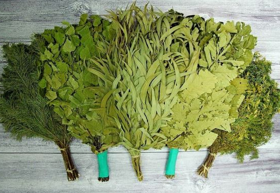 Разновидности банных веников 