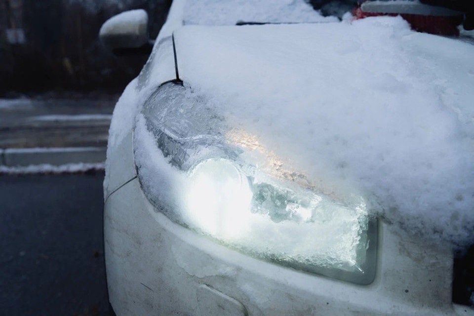    Хорошего дня! Фото: архив