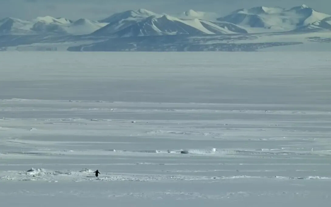 Фрагмент из документального фильма «Встречи на краю света»